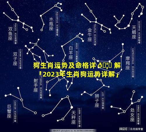 狗生肖运势及命格详 🦁 解「2023年生肖狗运势详解」